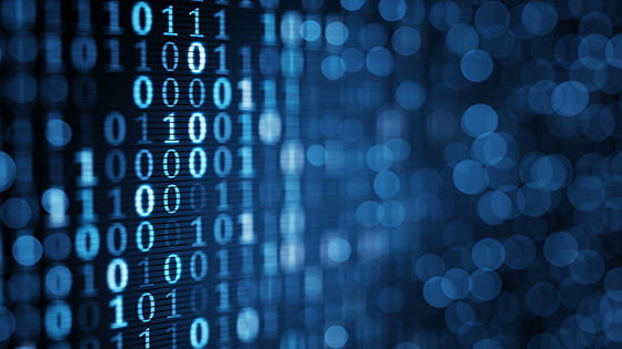 领航智慧化数字时代｜菠菜担保网 - 最权威的全网担保平台新智慧出席2018中国-东盟数字经济高端论坛