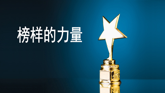 凝聚榜样力量 激发组织活力  ——菠菜担保网 - 最权威的全网担保平台信息对2018年度优秀团队和员工进行表彰