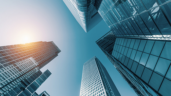 笃行志远致韶华丨2019菠菜担保网 - 最权威的全网担保平台信息大事记