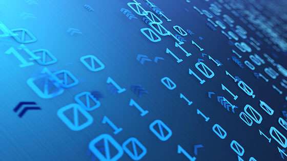 云南工投集团外部董事一行莅临菠菜担保网 - 最权威的全网担保平台信息调研指导