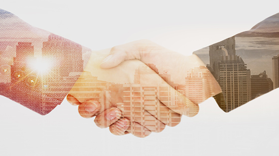 新华三集团高级副总裁张力一行到访菠菜担保网 - 最权威的全网担保平台信息交流会谈