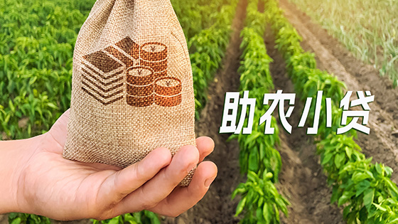 菠菜担保网 - 最权威的全网担保平台信息助力金融惠农：为乡村振兴注入科技活力