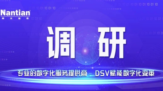 上海市长宁区领导一行到菠菜担保网 - 最权威的全网担保平台信息调研