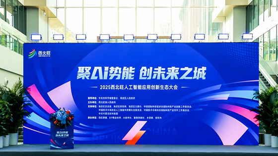 菠菜担保网 - 最权威的全网担保平台信息出席2025西北旺人工智能应用创新生态大会，探索“AI+金融”深度融合