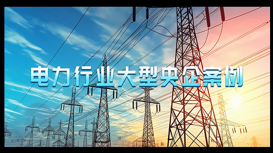 大型央企案例｜菠菜担保网 - 最权威的全网担保平台信息大模型赋能客户智能化新征程